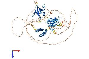 AlphaFold protein structure predicition of Mouse Recombinant Sh2b2 Protein, UniprotID Q9JID9