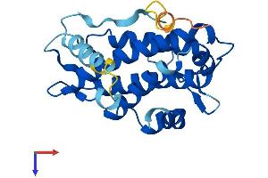 AlphaFold protein structure predicition of Human Recombinant MOB3C Protein, UniprotID Q70IA8