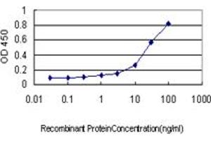 Detection limit for recombinant GST tagged CSE1L is approximately 0. (Exportin 2 anticorps  (AA 872-971))