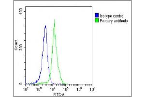 Overlay histogram showing NIH/3T3 cells stained with (ABIN6242694 and ABIN6578668)(green line).