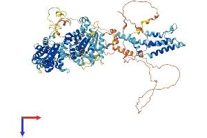 AlphaFold protein structure predicition of Mouse Recombinant Atad2 Protein, UniprotID Q8CDM1