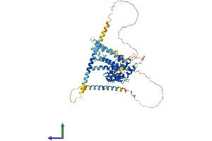 AlphaFold protein structure predicition of Mouse Recombinant Spata18 Protein, UniprotID Q0P557
