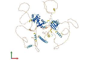 AlphaFold protein structure predicition of Mouse Recombinant Axin2 Protein, UniprotID O88566