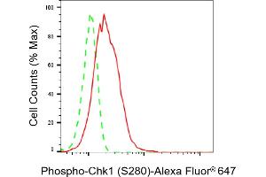 Flow cytometric analysis of Phospho-Chk1 (S280) expression in HeLa cells using Phospho-Chk1 (S280) antibody (ABIN7798037), 1:2,000).