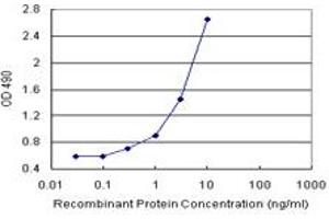 TWF1 (Human) Matched Antibody Pair
