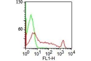 Surface staining of human lymphocytes with CDw75 Mouse Monoclonal Antibody (LN-1) (red) and isotype control (green). (ST6GAL1 anticorps)