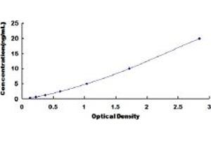 Typical standard curve (Prohibitin Kit ELISA)