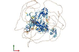 AlphaFold protein structure predicition of Mouse Recombinant Hecw2 Protein, UniprotID Q6I6G8