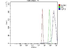 Flow Cytometry analysis of Neuro-2a cells using anti-KLF13 antibody (ABIN7602036). (KLF13 anticorps  (AA 56-260))