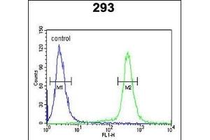 ESPN Antibody (N-term) (ABIN652258 and ABIN2841081) flow cytometric analysis of 293 cells (right histogram) compared to a negative control cell (left histogram). (Espin anticorps  (N-Term))