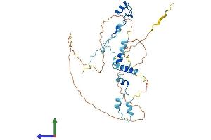AlphaFold protein structure predicition of Mouse Recombinant Pinx1 Protein, UniprotID Q9CZX5