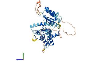 AlphaFold protein structure predicition of Human Recombinant UBE2Q1 Protein, UniprotID Q7Z7E8