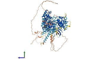 AlphaFold protein structure predicition of Human Recombinant HELB Protein, UniprotID Q8NG08