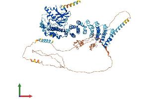 AlphaFold protein structure predicition of Mouse Recombinant Scyl2 Protein, UniprotID Q8CFE4