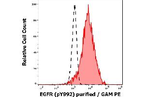 Separation of EGF stimulated A431 cell suspension stained using anti-human EGFR (pY992) (EM-12) purified antibody (concentration in sample 1 μg/mL, GAM PE, red-filled) from EGF stimulated A431 cell suspension unstained by primary antibody (GAM PE, black-dashed) in flow cytometry analysis (intracellular staining). (EGFR anticorps  (Tyr992))