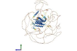 AlphaFold protein structure predicition of Human Recombinant AFF4 Protein, UniprotID Q9UHB7
