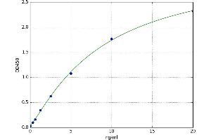 A typical standard curve