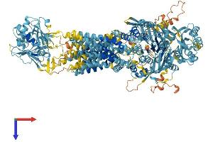 AlphaFold protein structure predicition of Mouse Recombinant Abca9 Protein, UniprotID Q8K449
