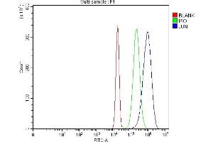 Flow Cytometry analysis of U20S cells using anti-C-Jun/JUN antibody (ABIN7601421).