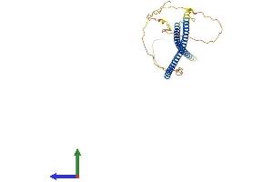AlphaFold protein structure predicition of Human Recombinant KNSTRN Protein, UniprotID Q9Y448
