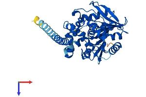 AlphaFold protein structure predicition of Human Recombinant EPHX4 Protein, UniprotID Q8IUS5