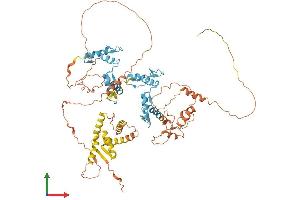 AlphaFold protein structure predicition of Human Recombinant ZBTB24 Protein, UniprotID O43167