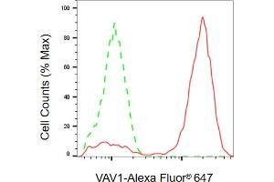 Flow cytometric analysis of VAV1 expression in Jurkat cells using VAV1 antibody (ABIN7800827), 1:2,000).