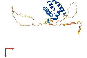 AlphaFold protein structure predicition of Mouse Recombinant Nfyb Protein, UniprotID P63139