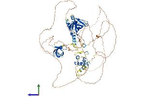 AlphaFold protein structure predicition of Mouse Recombinant Tdrd3 Protein, UniprotID Q91W18