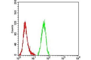 Flow cytometric analysis of Hela cells using COL1A1 mouse mAb (green) and negative control (red).