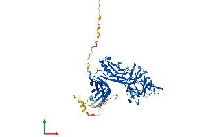 AlphaFold protein structure predicition of Human Recombinant RBPJ Protein, UniprotID Q06330