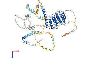AlphaFold protein structure predicition of Human Recombinant LMOD2 Protein, UniprotID Q6P5Q4