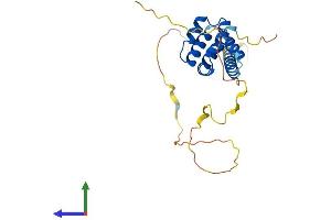 AlphaFold protein structure predicition of Human Recombinant BCL10 Protein, UniprotID O95999