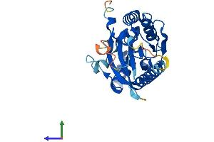 AlphaFold protein structure predicition of Human Recombinant TIGAR Protein, UniprotID Q9NQ88