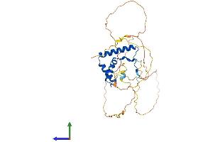 AlphaFold protein structure predicition of Mouse Recombinant Sox2 Protein, UniprotID P48432