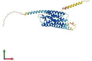 AlphaFold protein structure predicition of Mouse Recombinant Npsr1 Protein, UniprotID Q8BZP8