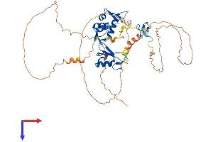 AlphaFold protein structure predicition of Human Recombinant MDM4 Protein, UniprotID O15151