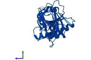 AlphaFold protein structure predicition of Mouse Recombinant Tpk1 Protein, UniprotID Q9R0M5
