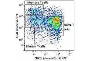 Flow Cytometry (FACS) image for Mouse Naive/Memory T cell ID Panel (ABIN2669200)