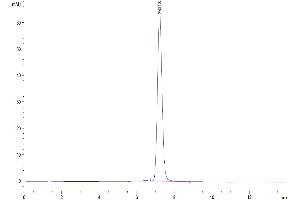 The purity of Human MCEMP1 is greater than 95 % as determined by SEC-HPLC.