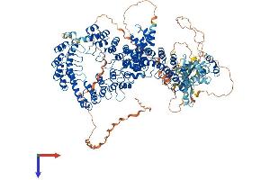 AlphaFold protein structure predicition of Mouse Recombinant Tnks Protein, UniprotID Q6PFX9
