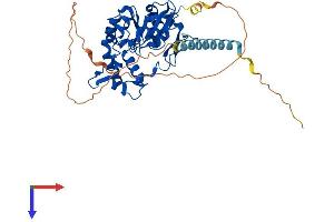 AlphaFold protein structure predicition of Human Recombinant HS3ST3A1 Protein, UniprotID Q9Y663