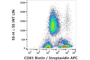 Surface staining of CD81 in human peripheral blood with anti-CD81 (M38) biotin, streptavidin-APC. (CD81 anticorps  (Biotin))