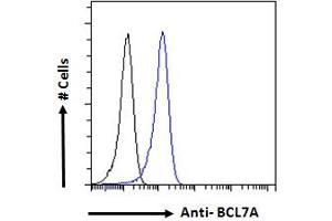 ABIN184562 Flow cytometric analysis of paraformaldehyde fixed Daudi cells (blue line), permeabilized with 0. (BCL7A anticorps  (C-Term))