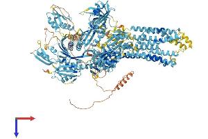 AlphaFold protein structure predicition of Mouse Recombinant Atp7a Protein, UniprotID Q64430