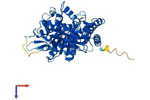 AlphaFold protein structure predicition of Mouse Recombinant Tuba1b Protein, UniprotID P05213