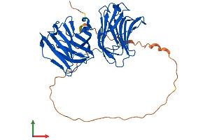 AlphaFold protein structure predicition of Human Recombinant LGALS9C Protein, UniprotID Q6DKI2