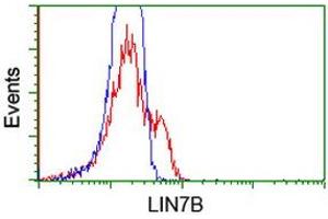Flow Cytometry (FACS) image for anti-Lin-7 Homolog B (LIN7B) antibody (ABIN1499157) (LIN7B anticorps)