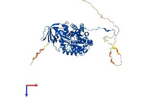 AlphaFold protein structure predicition of Human Recombinant DPYSL3 Protein, UniprotID Q14195
