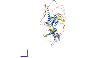 AlphaFold protein structure predicition of Mouse Recombinant Kcnq4 Protein, UniprotID Q9JK97